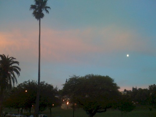The Dolores Park