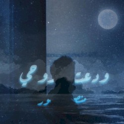ودعت روحي