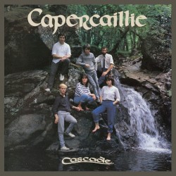 Cascade
