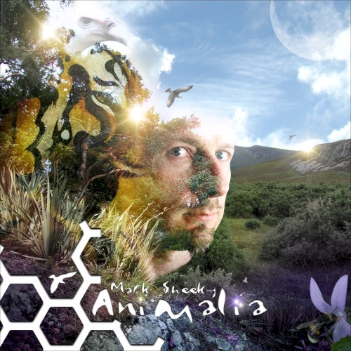 Animalia