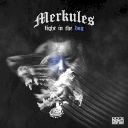 Fight in the Dog