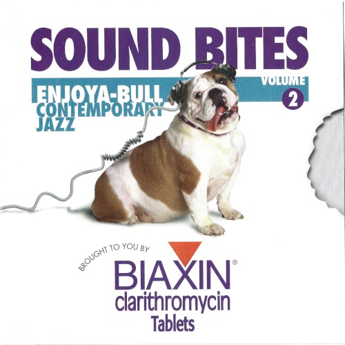 Sound Bites Volume 2 ENJOYA-BULL Contemporary Jazz