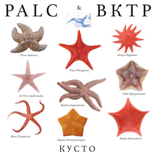 Кусто