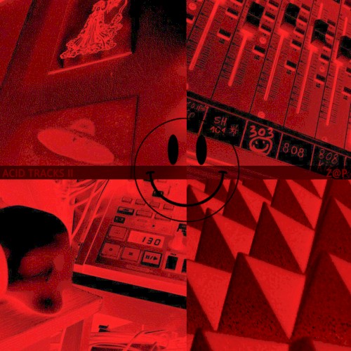 Acid Tracks II