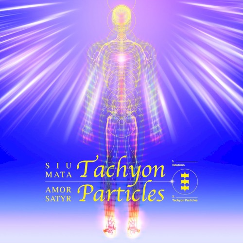 Tachyon Particles