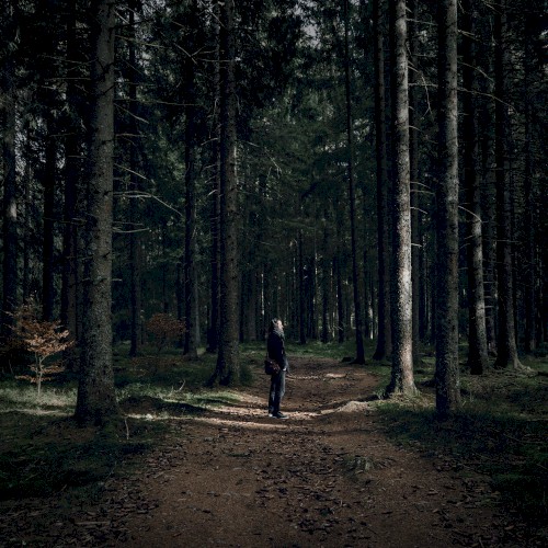 In the Silence I Can Finally Hear