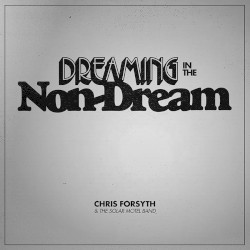 Dreaming In The Non-Dream