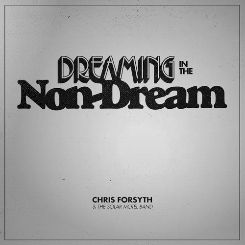 Dreaming In The Non-Dream