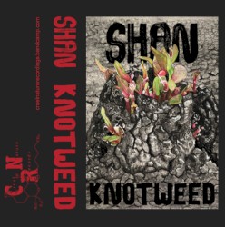 Knotweed