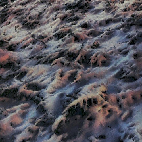 Icestorm