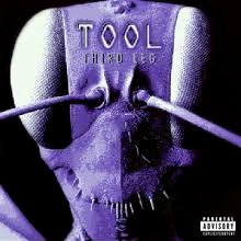 1996-11-23: Third Leg: Electric Factory, Philadelphia, PA, USA