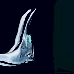 Pion