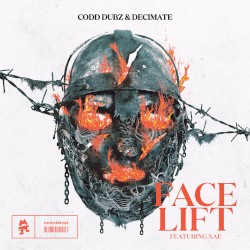 Face Lift