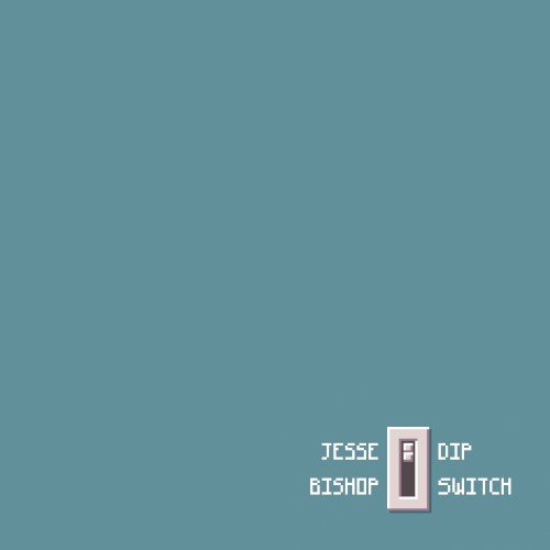 Dip Switch
