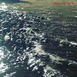 Plastic Ocean