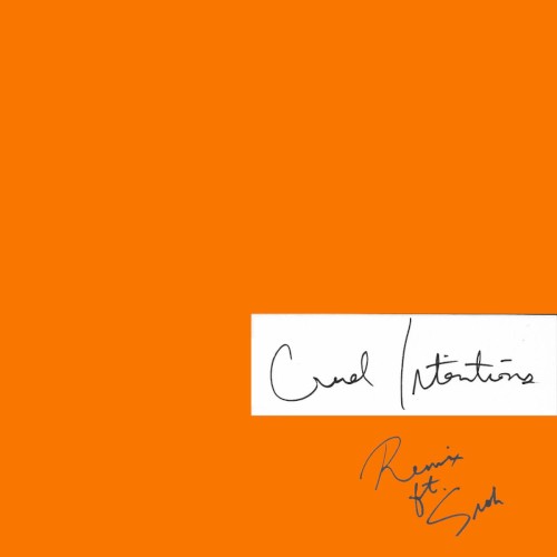 Cruel Intentions (remix)