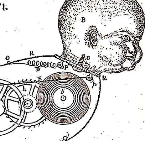 Luther Plumming Is Not A Neoist