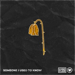 Someone I Used to Know