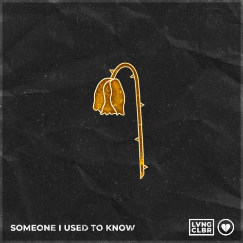 Someone I Used to Know