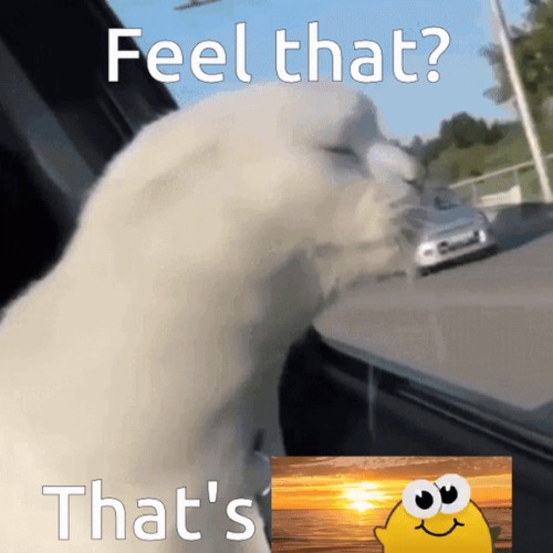 cute thingy