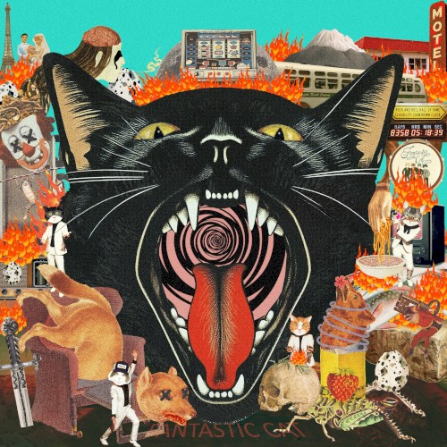 Cat Out of Hell