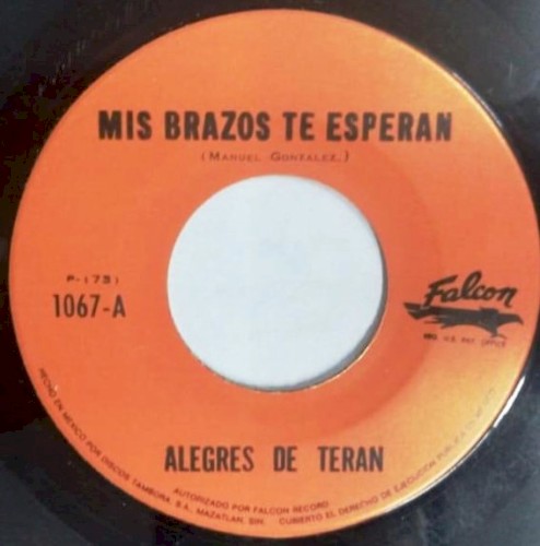 Mis brazos te esperan / Te busqué