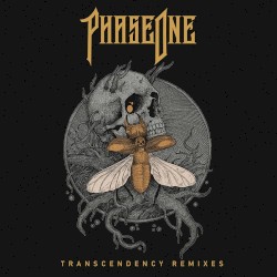TRANSCENDENCY Remixes