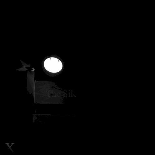 The Silent Ballet, Volume X: 私たちの暗い未来