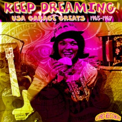 USA Garage Greats 1965-1967: Vol. 125: Keep Dreaming!