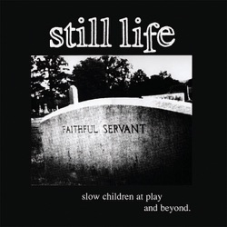 Slow Children At Play And Beyond