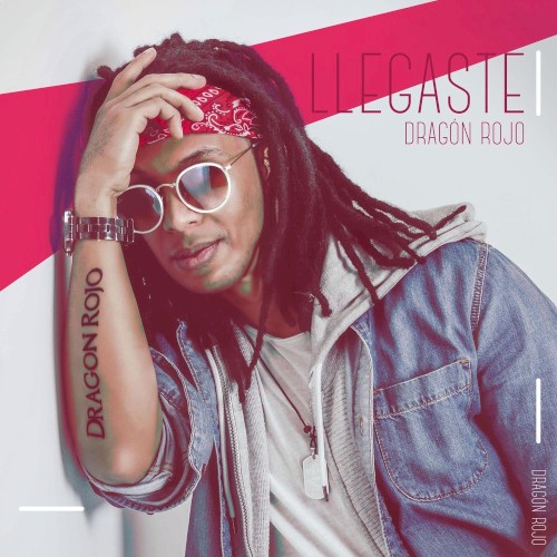 Llegaste