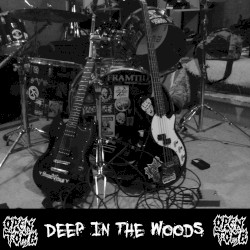 Deep in the Woods