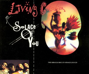 Solace of You