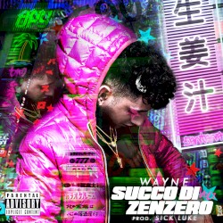 Succo di zenzero, vol. 1