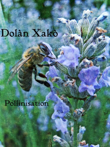 Pollinisation