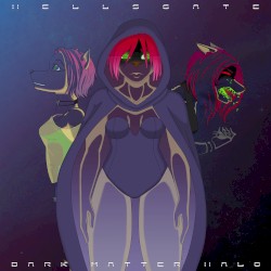 Dark Matter Halo