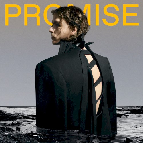 Promise