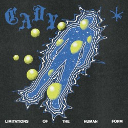 Limitations of the Human Form