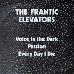 Voice in the Dark