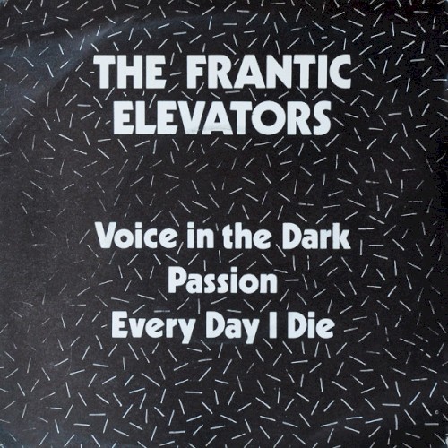 Voice in the Dark