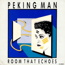 Room That Echoes