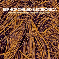 Trip Hop Chilled Electronica (Abstract Funk Downtempo Acid Beats Jazzy Session)