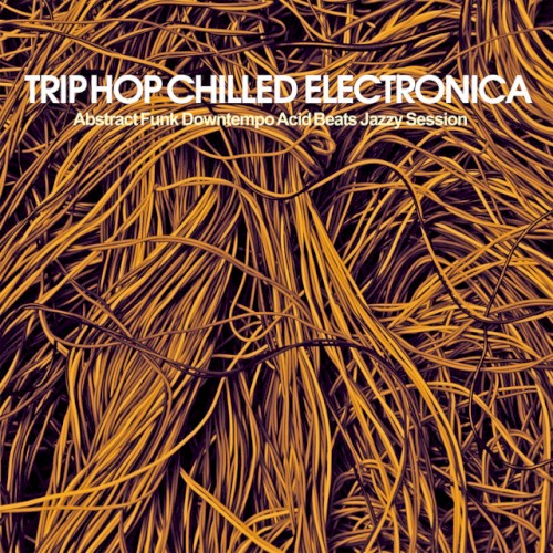 Trip Hop Chilled Electronica (Abstract Funk Downtempo Acid Beats Jazzy Session)