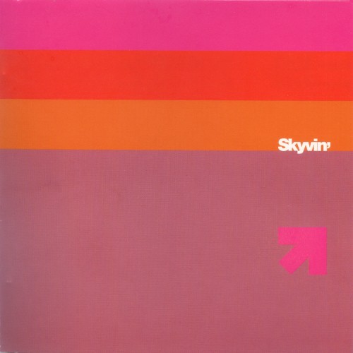 Skyvin’
