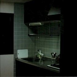 Domestic Pulse