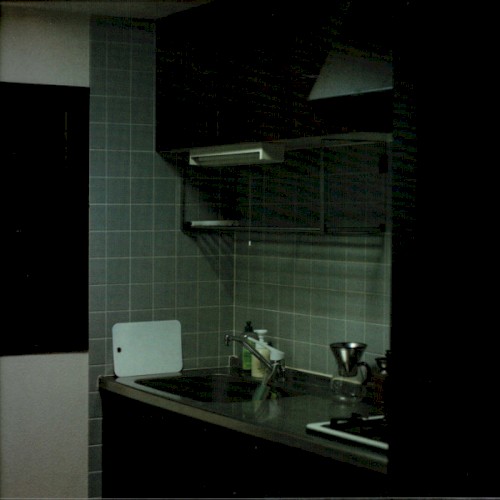 Domestic Pulse