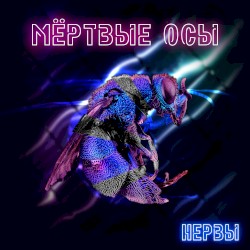 Нервы