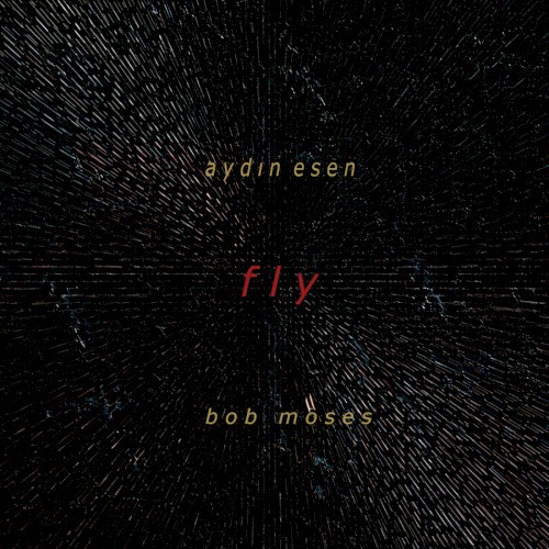 Fly