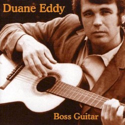 Boss Guitar