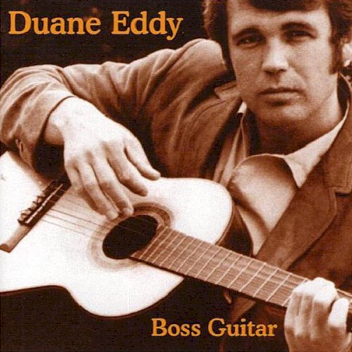 Boss Guitar